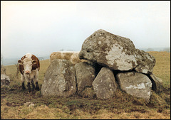 megalithic tomb at Carrowmore