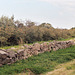 An Ancient Greek Polygonal Wall in Naxos, March 2005