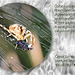 Spider & Honeybee sandwich 19 9 2011