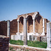 Gray Columns in the House of Cupid and Psyche in Ostia Antiqua, June 1995