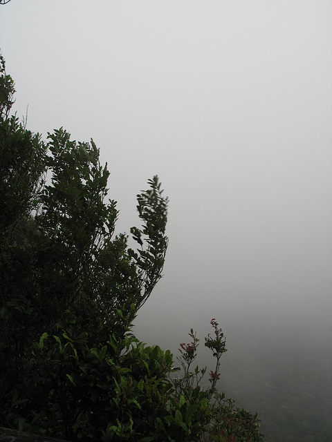 Best Of All Lookout, Springbrook National Park, Queensland, Australia