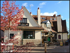 The Elm Tree pub