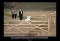Little Egret & visitors 7 Sisters 23 2 2012