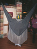 Judith Dressed as a Bird Mummer at the Brooklyn Children's Museum, 2004