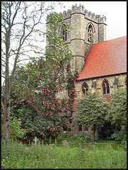 spring rain in the churchyard