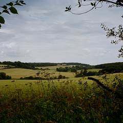 Hertfordshire view (2)
