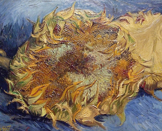 Detail of Sunflowers by Van Gogh in the Metropolitan Museum of Art, August 2010