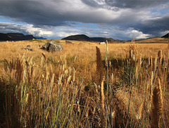 Grasslands near Kamloops, BC