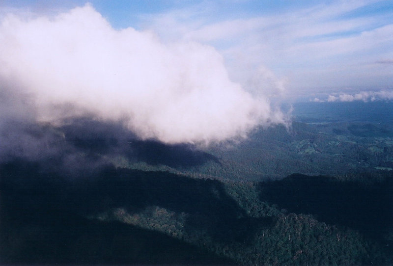 Up Above The Clouds, Springbrook, Queensland