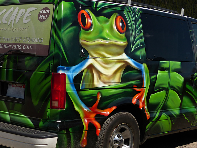 Tree Frog Campervan