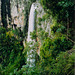 Purlingbrook Falls, Springbrook, Queensland, Australia