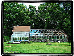 Antique greenhouse