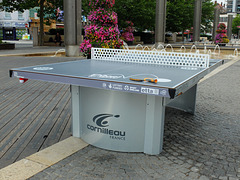 Public Table Tennis - 7 August 2013