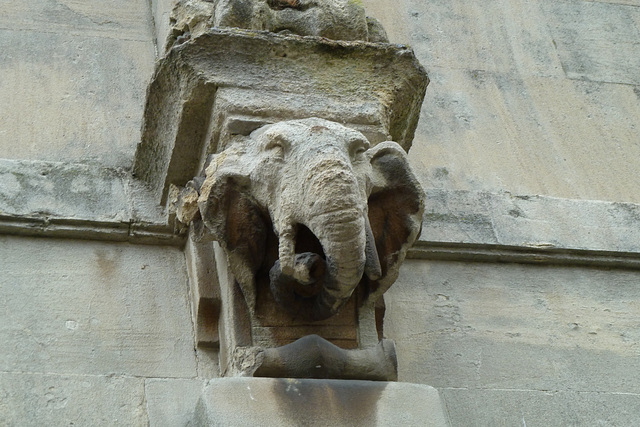 Bath 2013 - Elephant