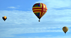 Hot Air Balloons Over Albuquerque, NM