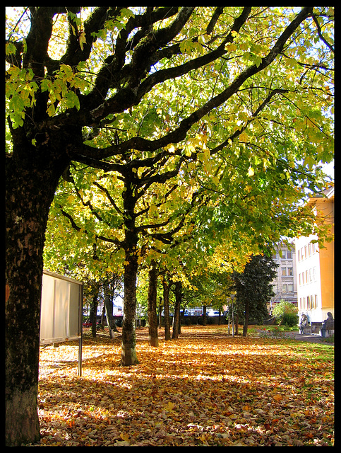 LA CHAUX DE FOND: Paysage d'automne près de la gare.