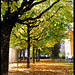 LA CHAUX DE FOND: Paysage d'automne près de la gare.