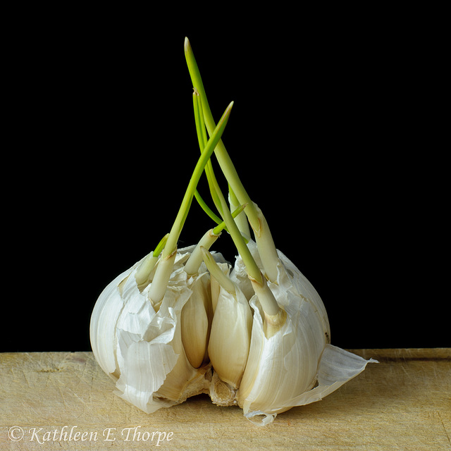 Garlic Cloves on Cutting Board SOOC