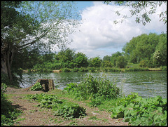 river at Aston's Eyot