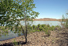 Lahontan Reservoir