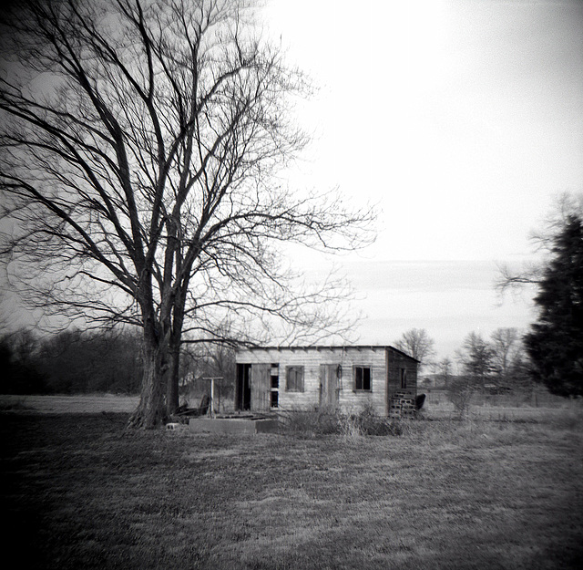 The Old Shed Across The Street