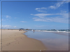 Maroochydore Beach, Queensland, Australia