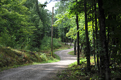 Cottage road