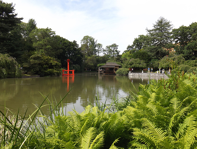 The Japanese Garden in the Brooklyn Botanic Garden, June 2012