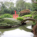 The Japanese Garden in the Brooklyn Botanic Garden- Taken by Tiffany with her Camera, June 2012