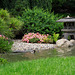 The Japanese Garden in the Brooklyn Botanic Garden- Taken by Tiffany with her Camera, June 2012