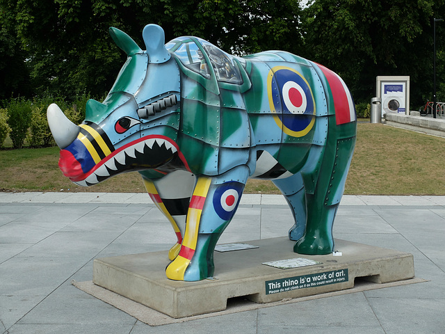 Go! Rhinos_065 - 8 August 2013 Go! Rhinos_065 - 8 August 2013
