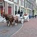 Horses & carriage