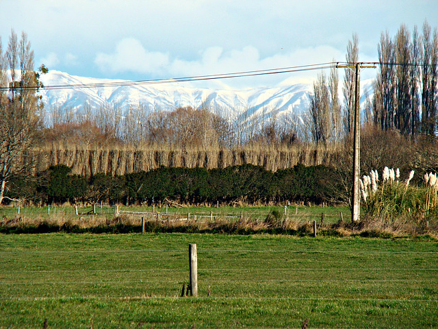 Southern Alps from Clandeboye