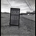 Cold Beer In Kentucky
