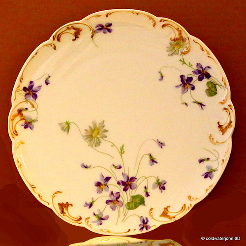 Haviland Limoges Porcelain plate