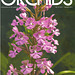 ORCHIDS Magazine cover