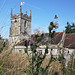 Imber Church beyond the thistle