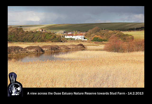 Stud Farm from Ouse Estuary Nature Reserve - 14.2.2013