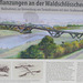 2013-08-23 09 Waldschlösschenbrücke