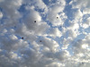DSCF1707 ciel moutonneux avec des ballons