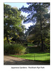 Japanese Garden - Peckham Rye Park