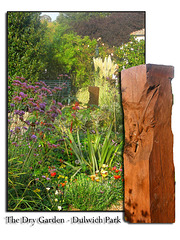 Dry Garden - Dulwich Park with lizard carving