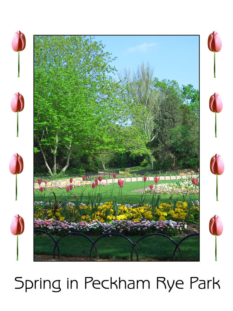 Spring in Peckham Rye Park 20 4 07