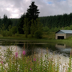 Old Boathouse at Loch Ettrick - Square Format