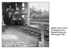 LBSCR Terrier 0-6-0T 55 at Bluebell Railway on 24.8.1963
