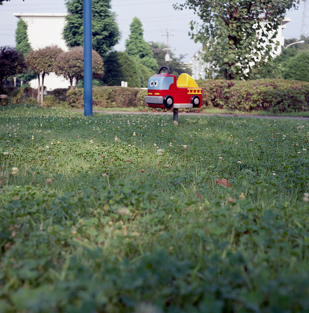 White clover and a toy fire engine
