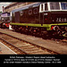 British Railways Western Region - D7018 & D1035 Didcot Railway Centre - 30.5.1989