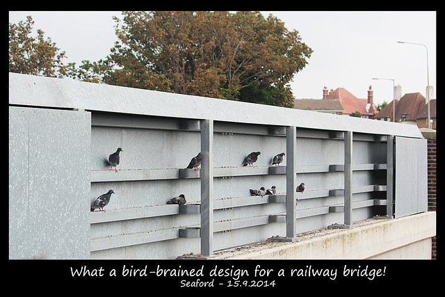 Bird-brained railway bridge - Seaford - 15.9.2014