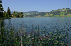 Le lac d'Aegeri