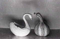 Compatibility - Swan and Squash